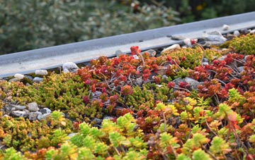 the cost of Carncastle green roof installation