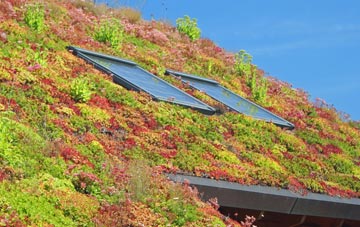 Carncastle living roof systems