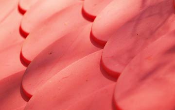 Carncastle plastic roof costs