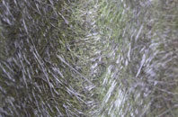 Carncastle fibreglass roof work